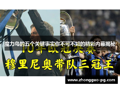 魔力鸟的五个关键事实你不可不知的精彩内幕揭秘