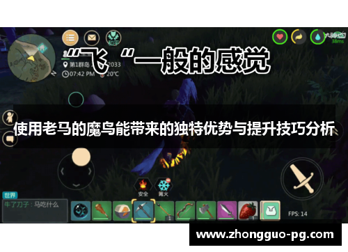 使用老马的魔鸟能带来的独特优势与提升技巧分析