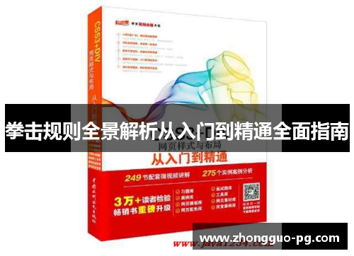 拳击规则全景解析从入门到精通全面指南