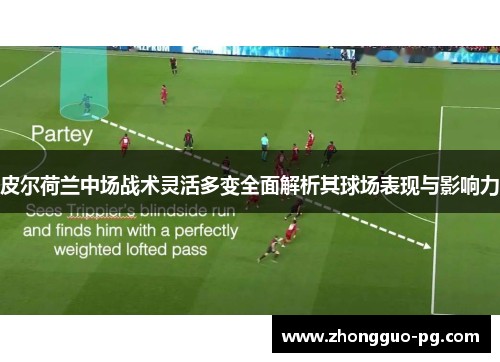 皮尔荷兰中场战术灵活多变全面解析其球场表现与影响力